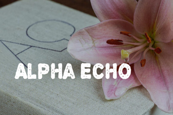 Alpha Echo: The Shredded Display Font for Bold Branding