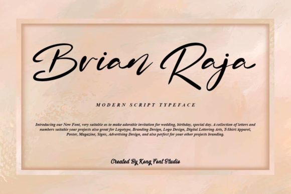 Brian Raja: Injecting Playful Energy into Your Design Projects