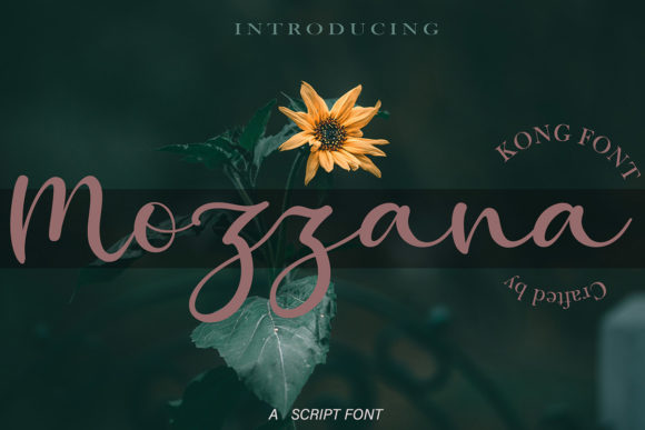 Mozzana: The Playful Script for Craft and Design