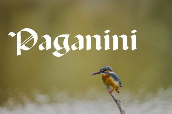 Paganini: A Gothic Blackletter for Bold, Lasting Impressions