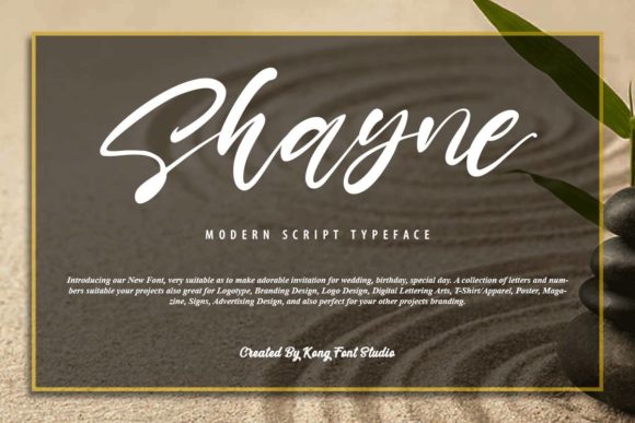 Shayne: The Handwritten Script Font for Modern Creatives